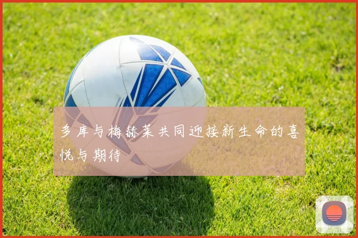 多库与梅赫莱共同迎接新生命的喜悦与期待