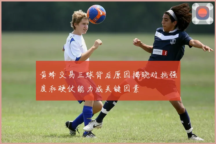 黄蜂交易三球背后原因揭晓对抗强度和硬仗能力成关键因素
