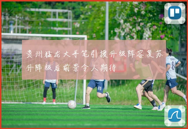 贵州猛龙大手笔引援升级阵容复苏升降级后前景令人期待