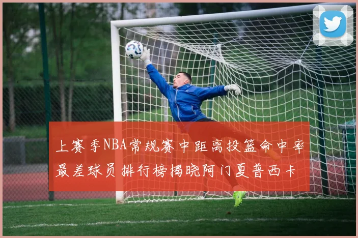 上赛季NBA常规赛中距离投篮命中率最差球员排行榜揭晓阿门夏普西卡名列前三